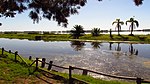 Quietud de shabat - panoramio